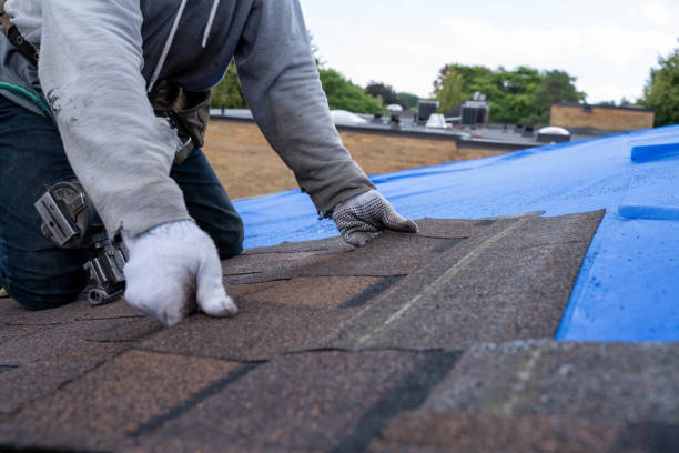 Quick and Trustworthy Emergency Roof Repair Services in Otsego, MI
