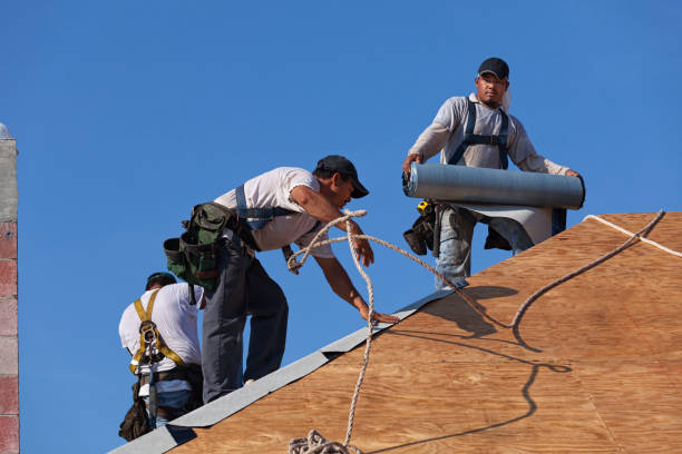Best Best Roofing Contractors  in Otsego, MI