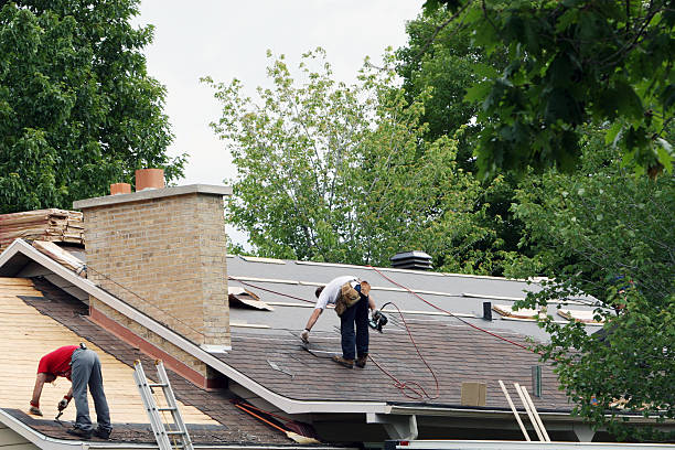 Best Metal Roofing Contractor  in Otsego, MI
