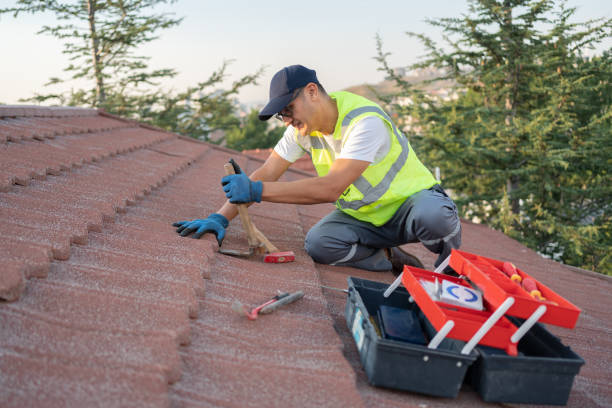 Best Flat Roof Repair Services  in Otsego, MI