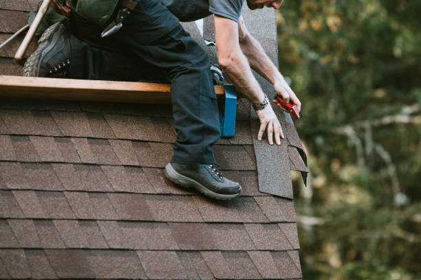 Best Roof Maintenance Services  in Otsego, MI